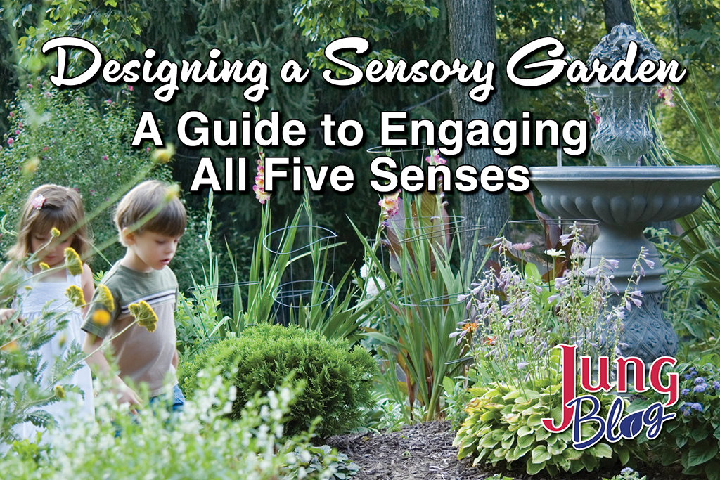 Designing a Sensory Garden: A Guide to Engaging All Five Senses