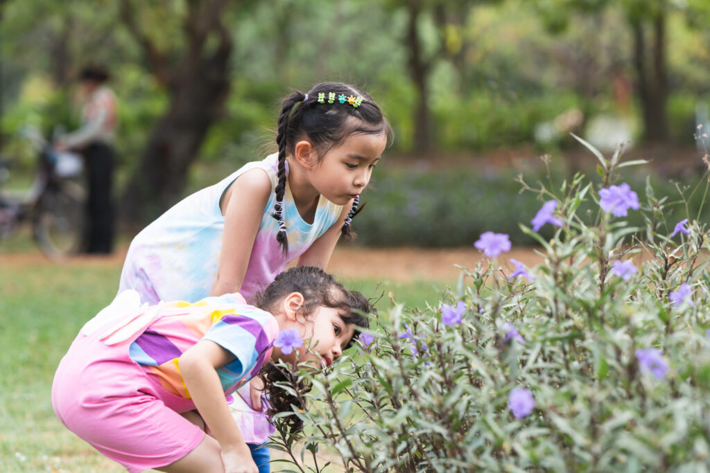 Two little girls looking at purple flowers in a park