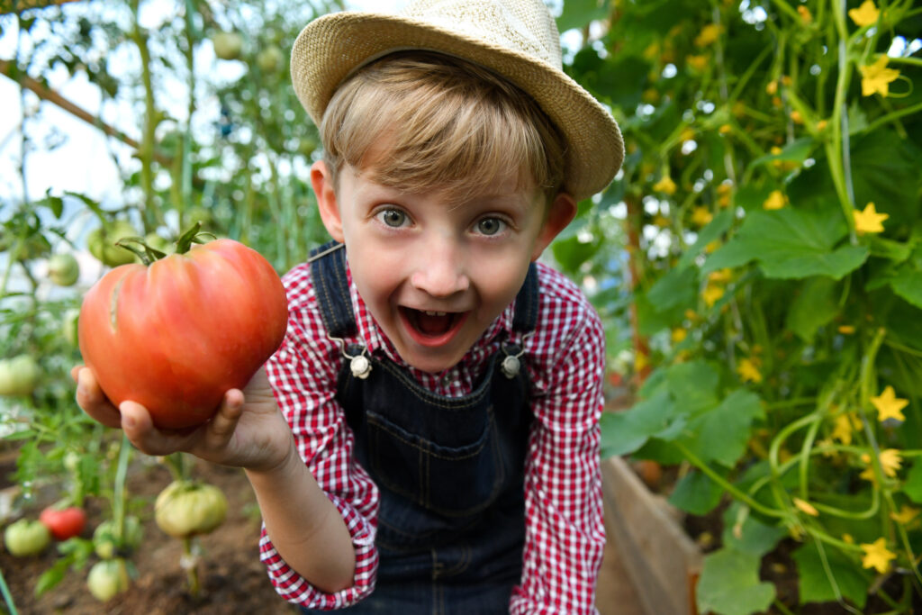 An excited young boy holding a large tomato