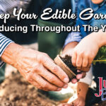 Keep your edible garden producing throughout the year blog
