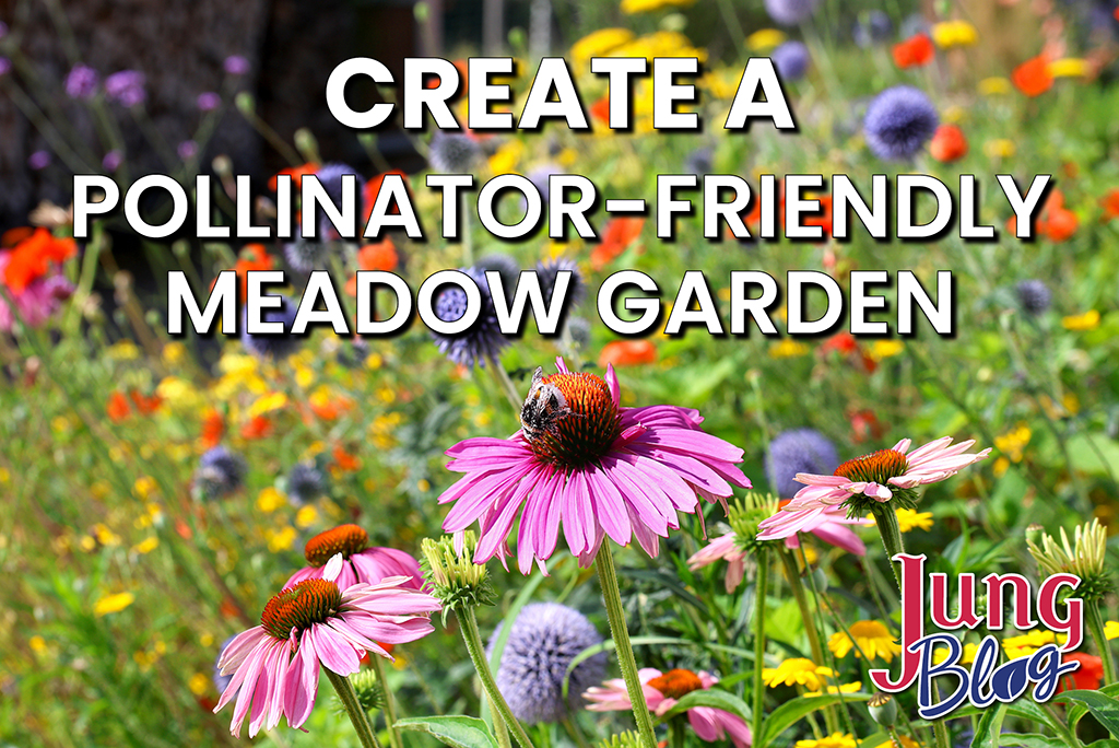 Create a Pollinator-Friendly Meadow Garden